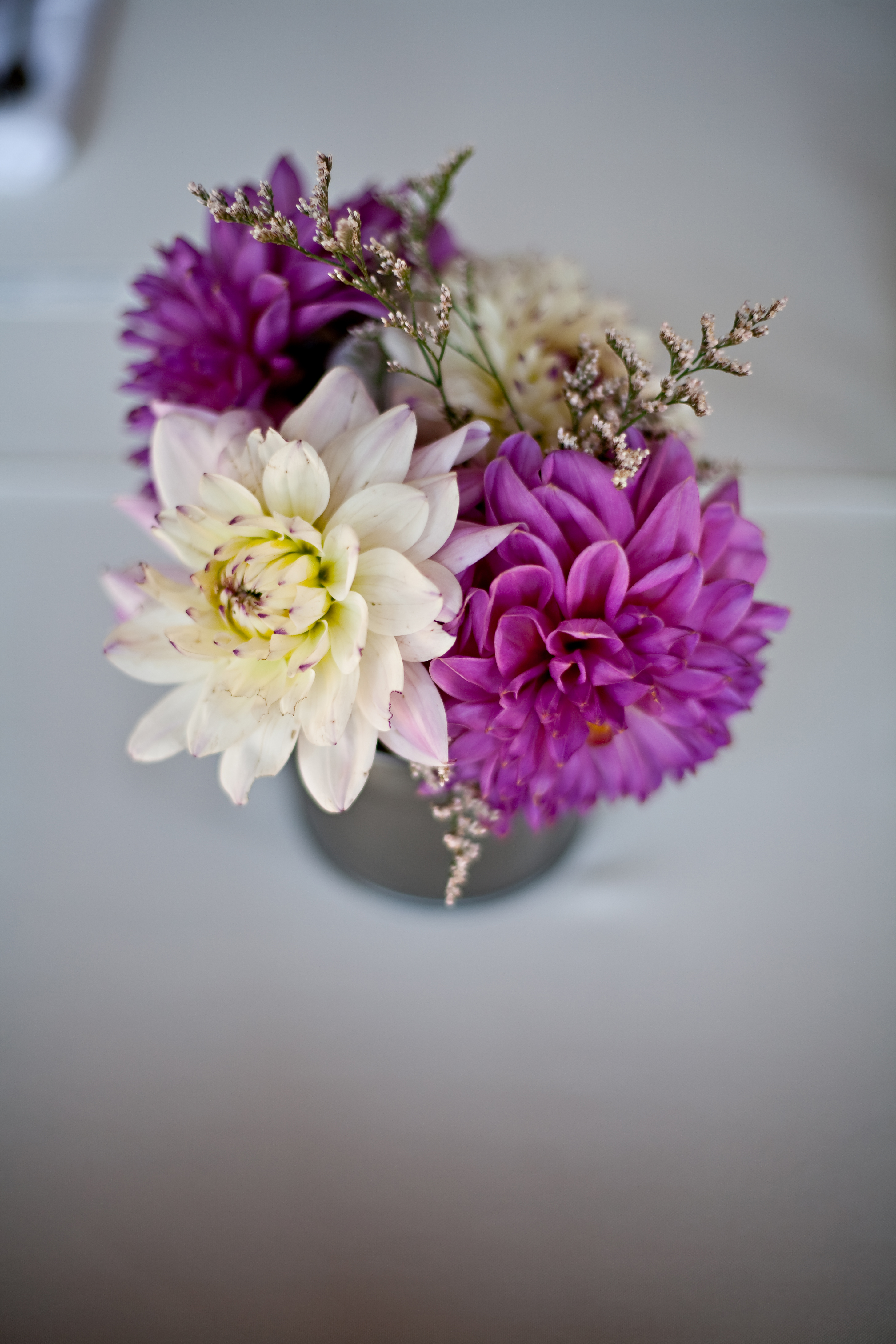 Fresh dahlias flowers for weddings