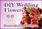 Blooms by the Box