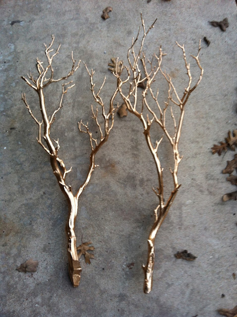 branches sized