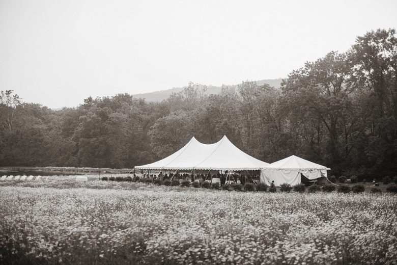 Wedding tent in the middle of a field of flowers