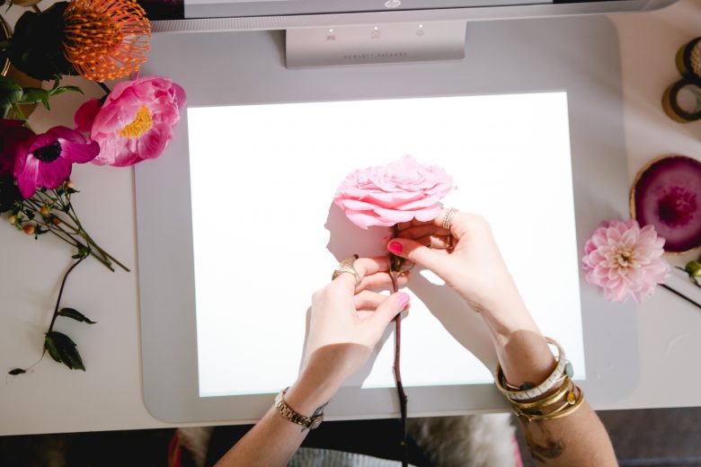 How To: $20 DIY Paper Flower Wedding Backdrop