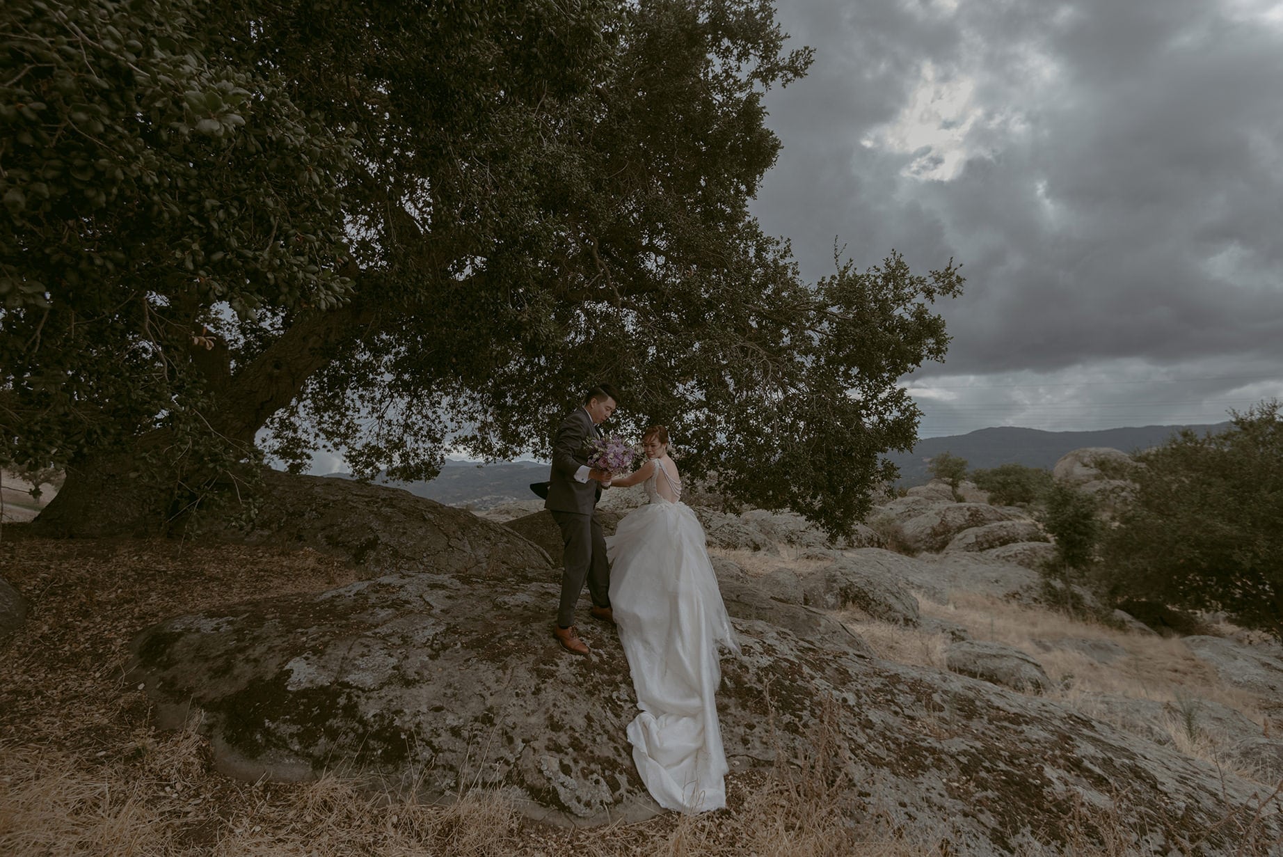 A Julie Pepin photo depicting a groom helping a bride with a long train up a rock on a cloudy day in front of a huge tree