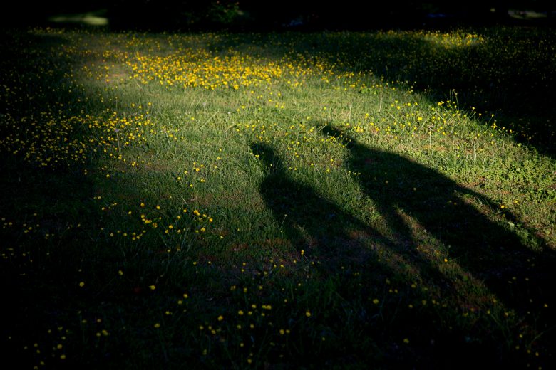 Shadow of people holding hands on green grass | A Practical Wedding