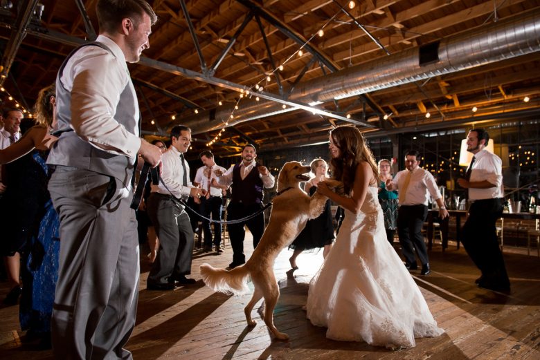 bride dancing with dog at wedding reception