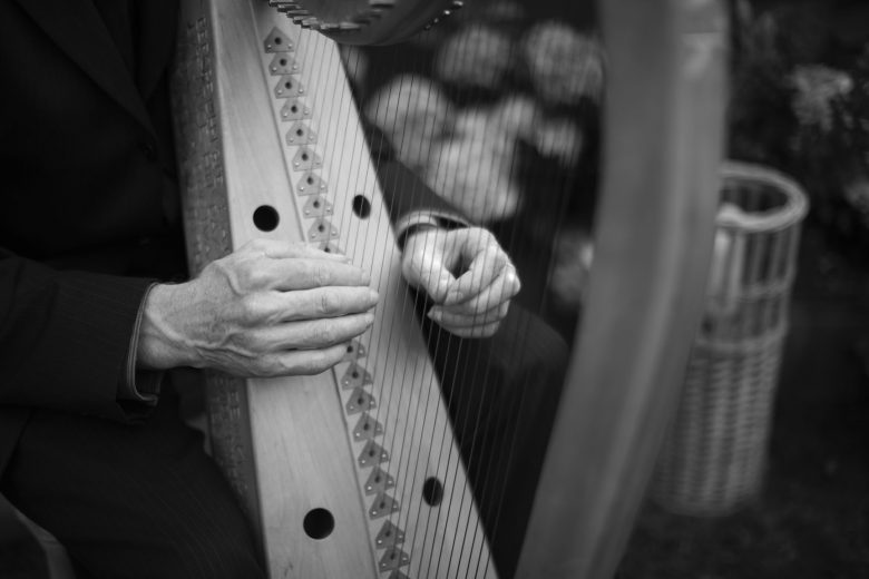 black and white harp detail