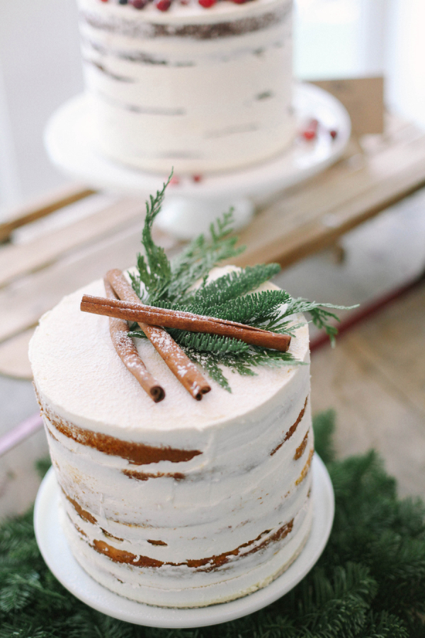 rustic winter minimalist cake