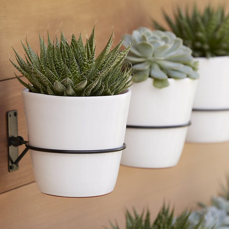 wall planter hooks from crate and barrel