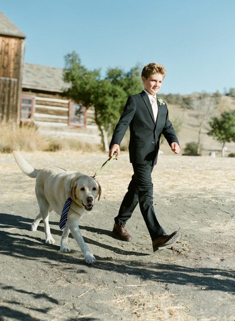 boy walking dog into wedding