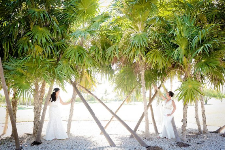 brides on beach with palm tree at destination wedding