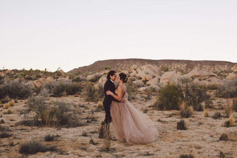 bride and groom in the desert by wedding photographer evangeline lane