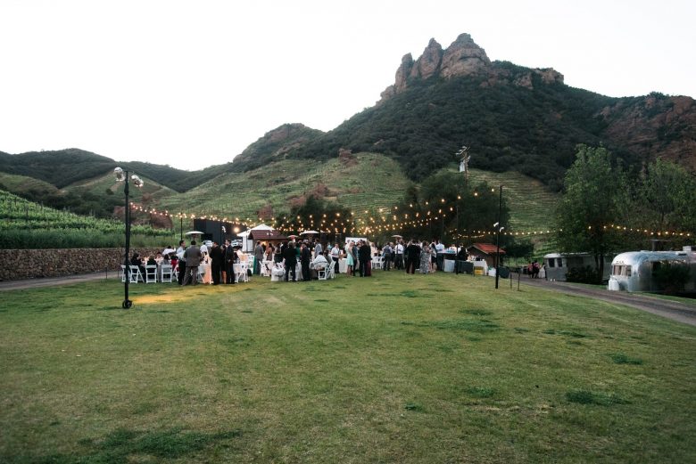 wedding party outside at the reception