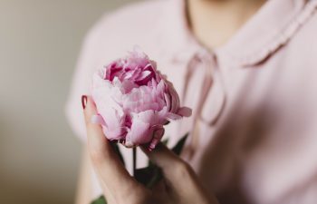 woman holding a pink rose