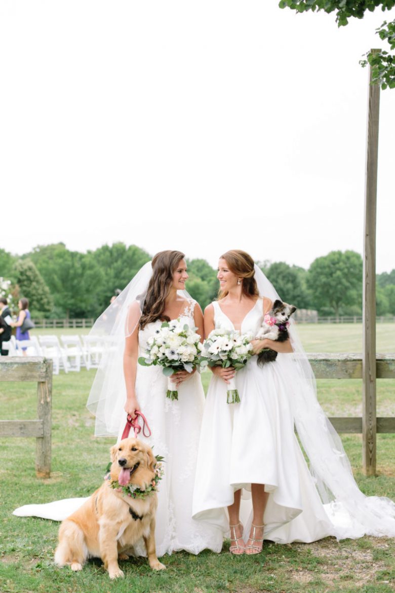 portrait of two brides with their dogs