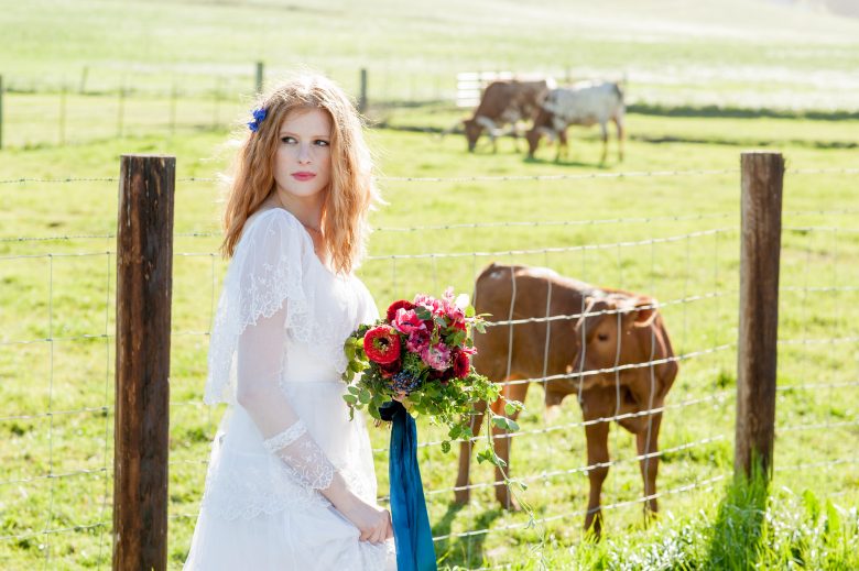 standing next to a baby cow behind a fence, a bride looks off into the distance