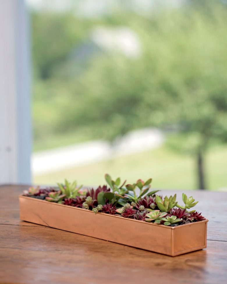 Rectangular Copper Plant Tray