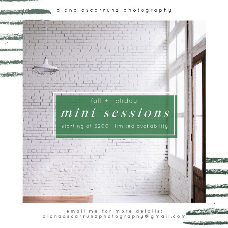 Graphic over white brick wall reads: Diana Ascarrunz Photography Fall + Holiday Mini Sessions Starting at $200 | Limited availability—email me for more details: dianaascarrunzphotography at gmail dot com