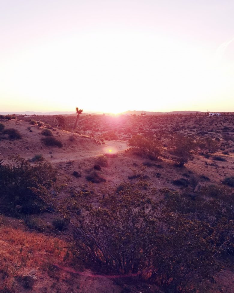 Joshua Tree Desert at Sunset