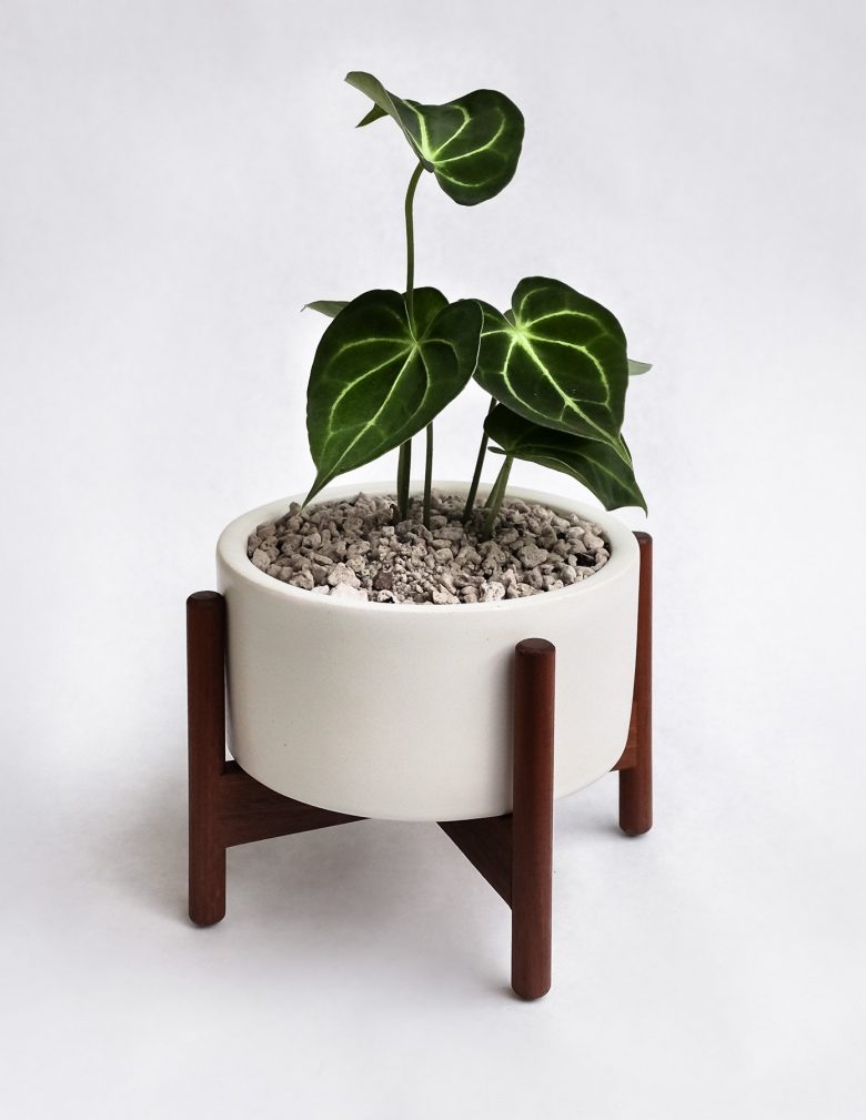 modern ceramic desktop planter with wooden legs