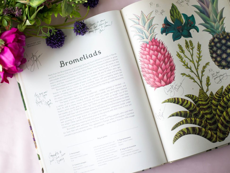 signed horticulture book surrounded by flowers on a pink tablecloth - wedding guest book ideas