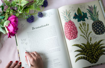 A person signing a book with tropical plants