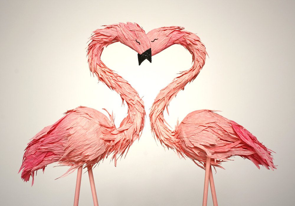 two flamingos forming a heart