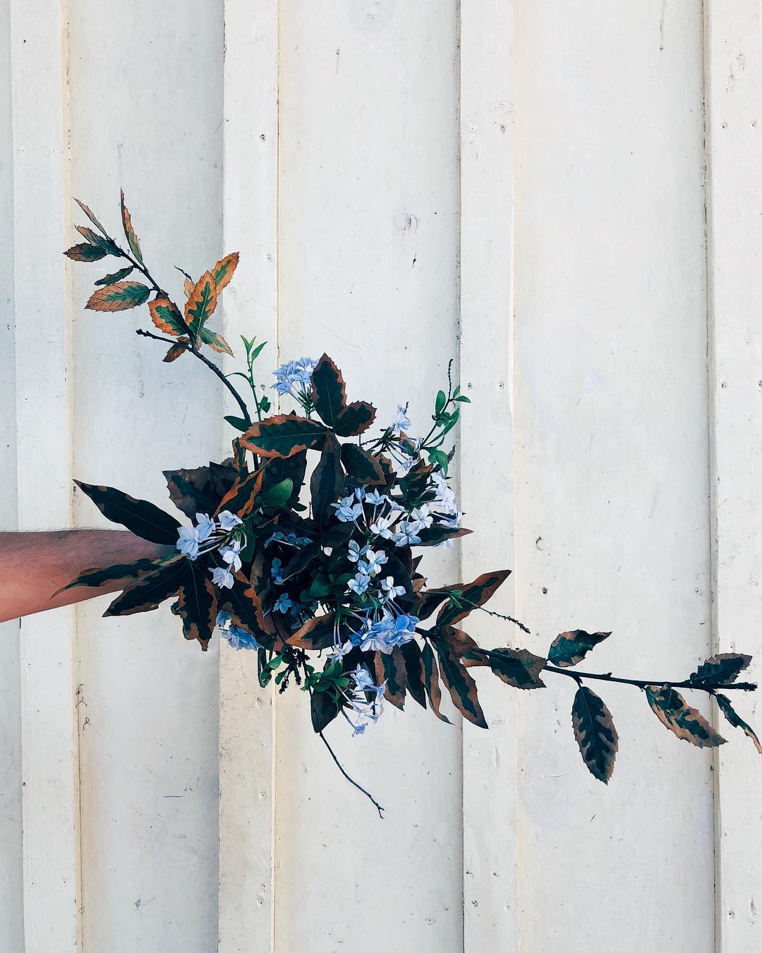 small wild asymmetrical bouquet with variegated branches and small blue flowers