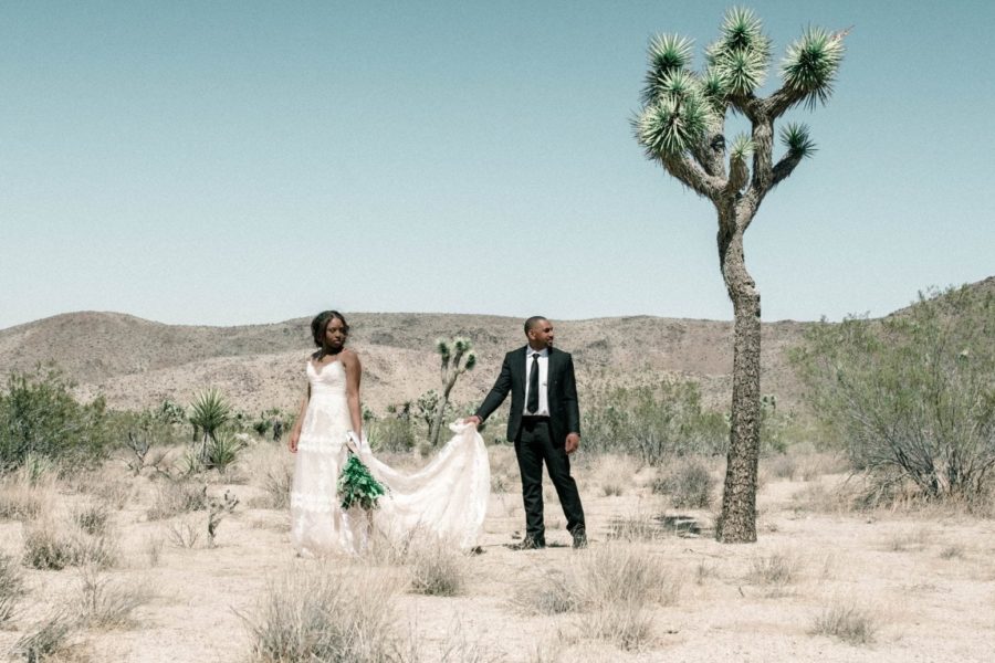 A bride in a white dress and a groom in a black tux stand beneath a Joshua Tree in the desert. The groom holds up the bottom of the brides gown and looks off in the distance.