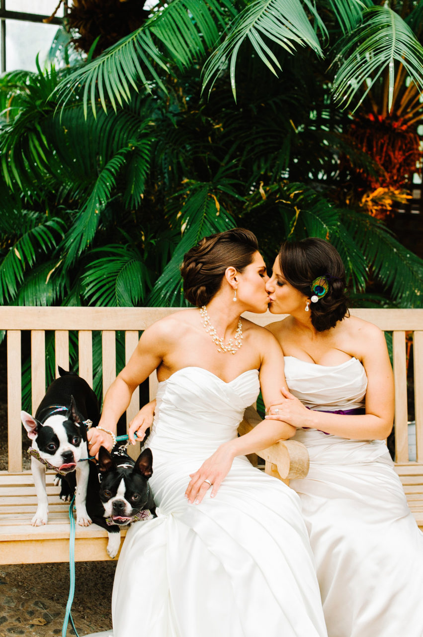 Kelly Prizel photo of two brides are kissing one a bench in front of palm fronds. They are both wearing strapless ruched wedding gowns, and one wears a statement necklace while the other has a peacock feather in her updo. One bride is holding the leashes of two black and white French bulldogs that are sitting on the bench next to them.