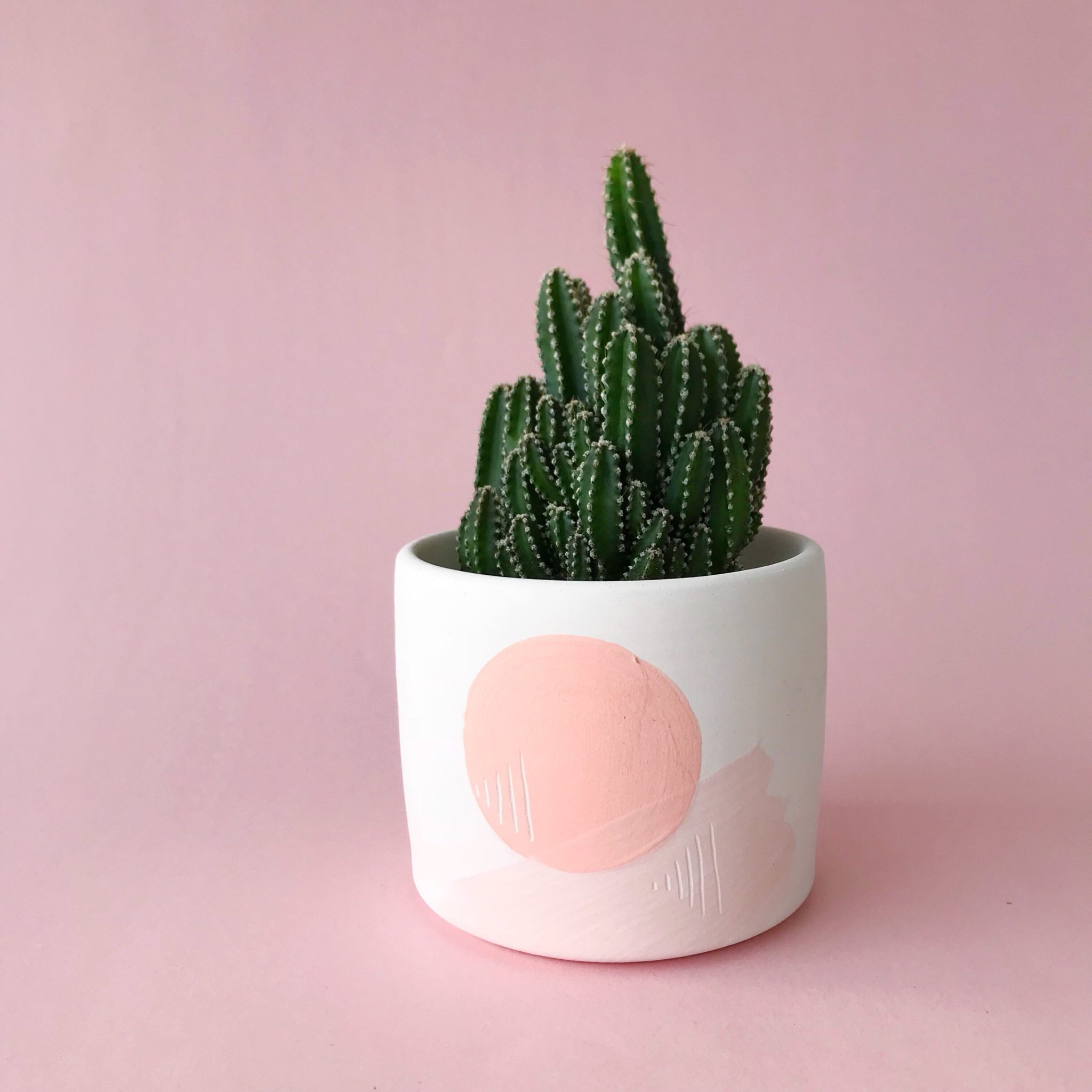 hand-painted pink and white ceramic cactus planter on pink background