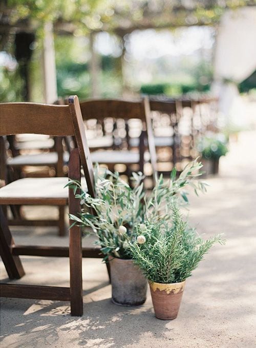 wedding ideas for aisle decor—potted plants adorn an aisle