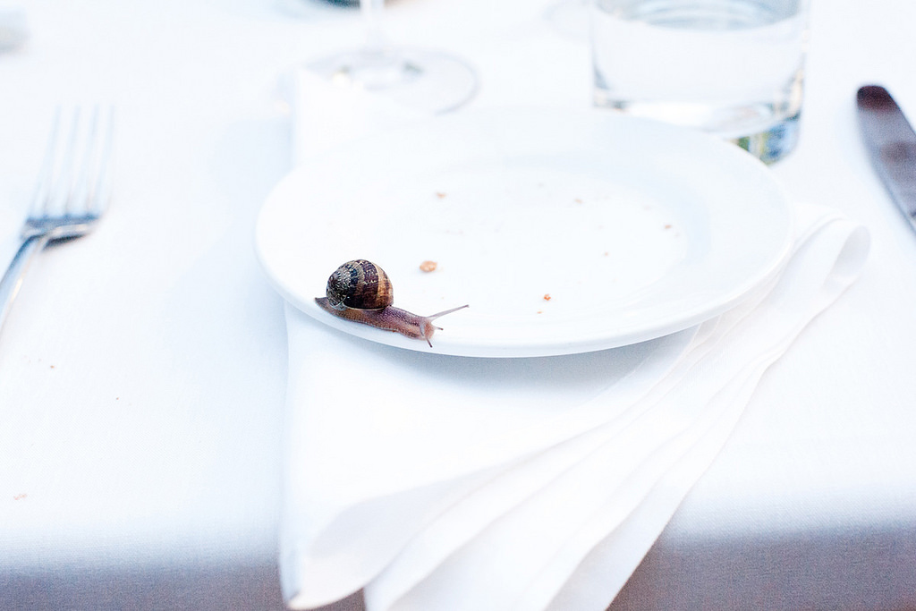 A snail crawls across an empty white plate sitting on a folded white napkin at a formally set table.
