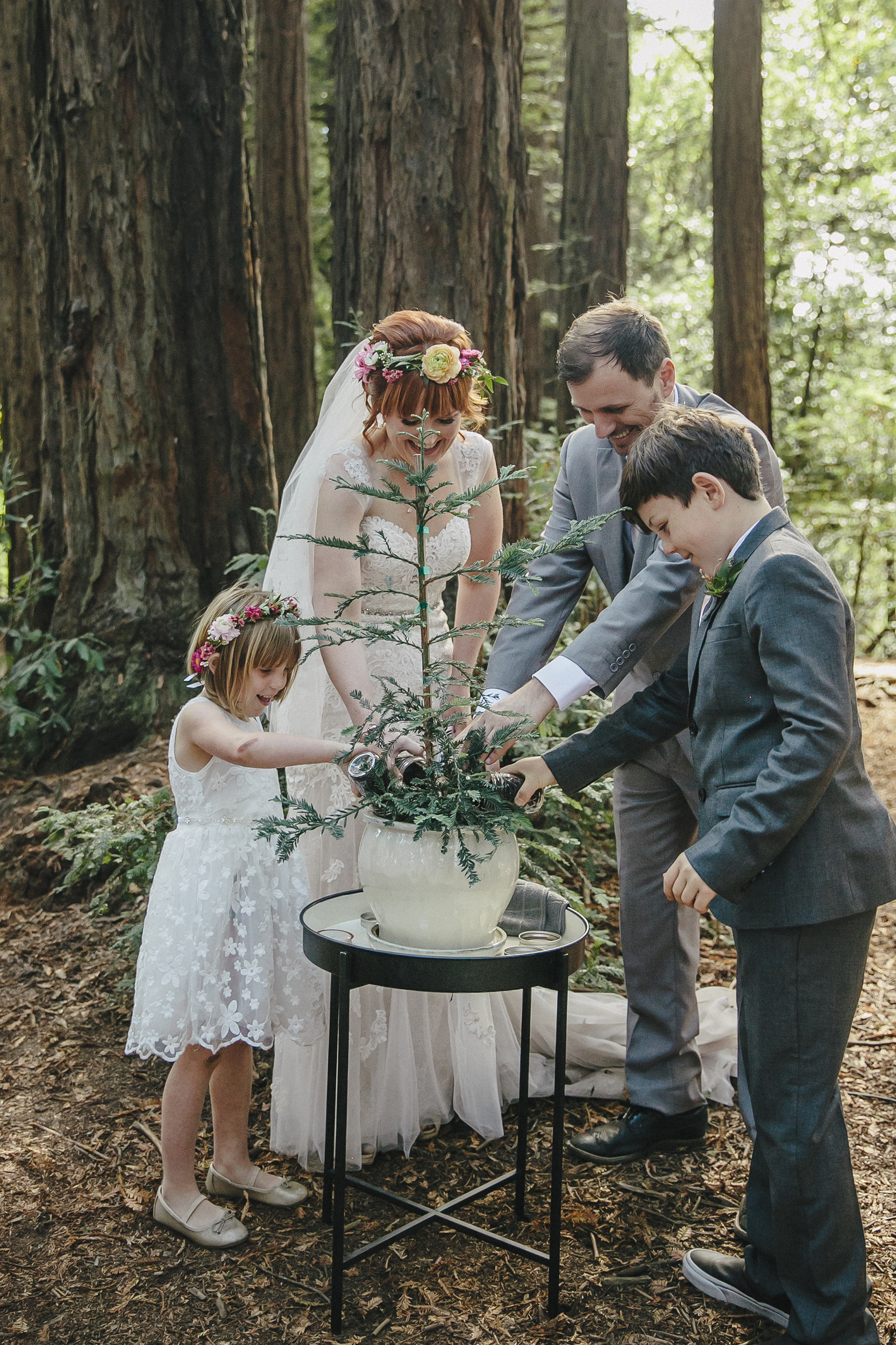 A woman in a wedding dress and a groom in a grey suit plant a potted tree among the redwoods together with two children—a girl in a white dress with a flower crown and a boy in a grey suit. Everyone smiles