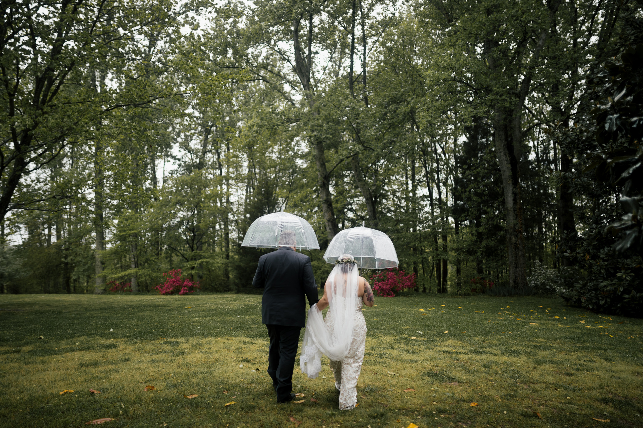 a couple walks through a field using clear wedding umbrellas for rain while the groom holds the brides train up and out of the grass