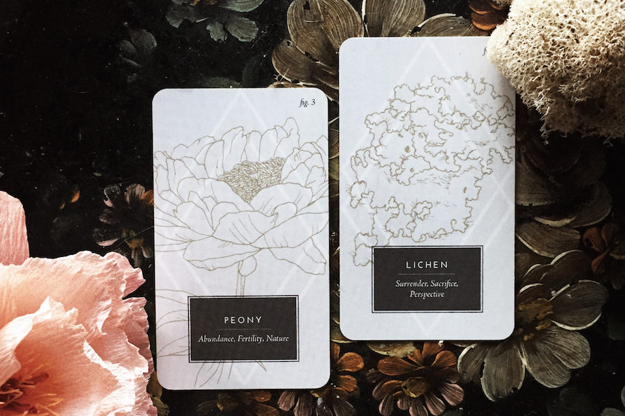 Two Fleurot tarot cards next to a peony and natural sponge on a dark floral background