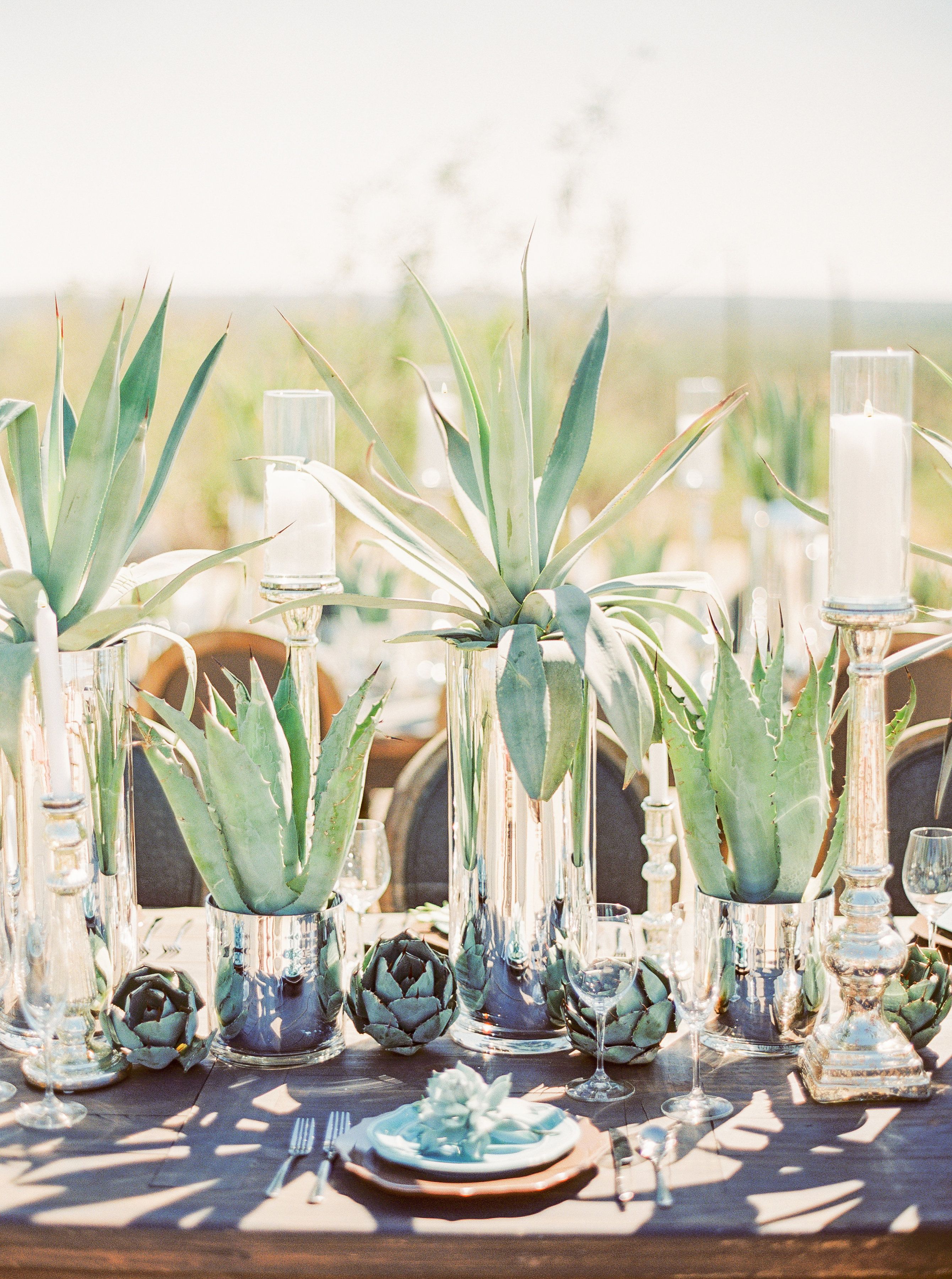 Rustic desert agave plant wedding centerpieces