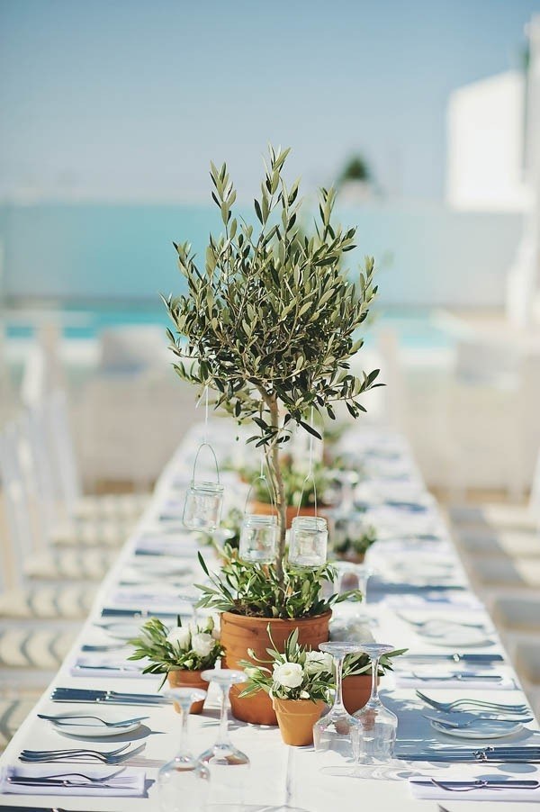 Olive branch centerpieces which are what they sound like, olive branches in pots or vases