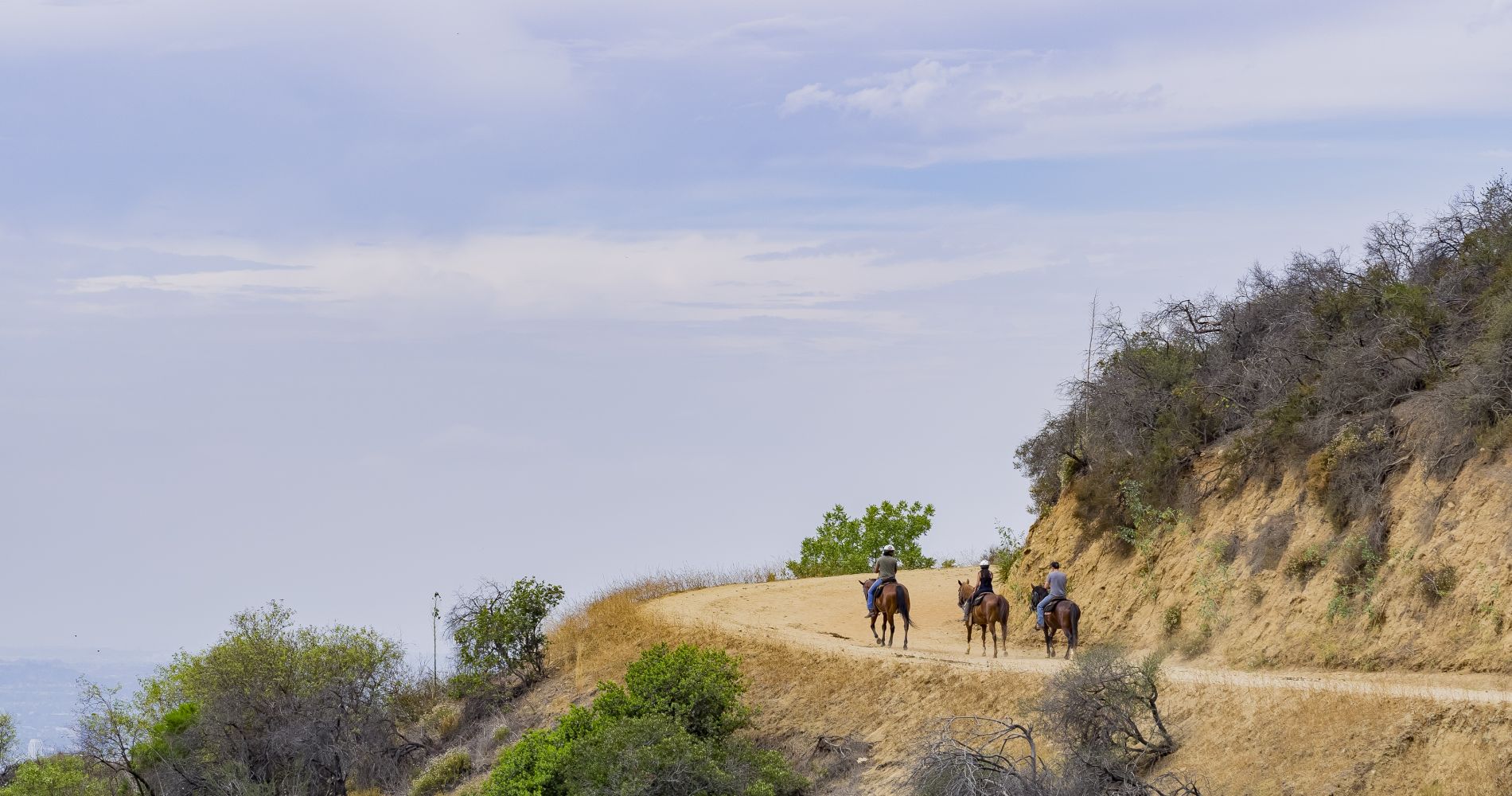 three people ride on horseback along a california hillside as part of a Tinggly experience wedding gift