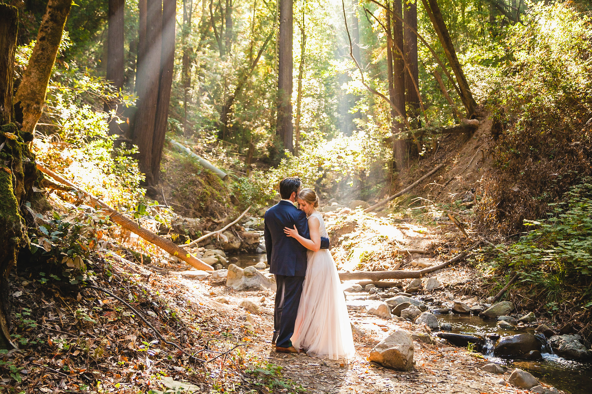 A wedding couple quietly stand in the woods as sunbeams shine down through the trees.