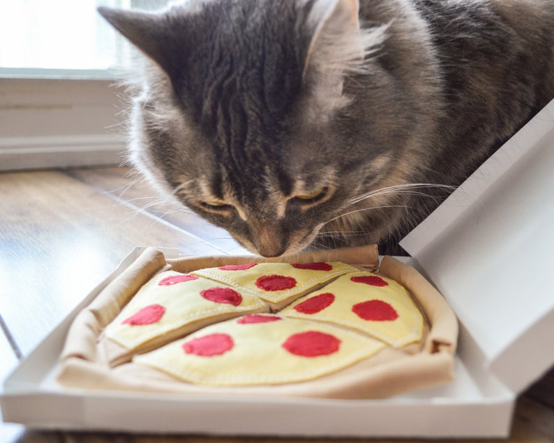 A cat sniffing a cloth pizza filled with catnip.