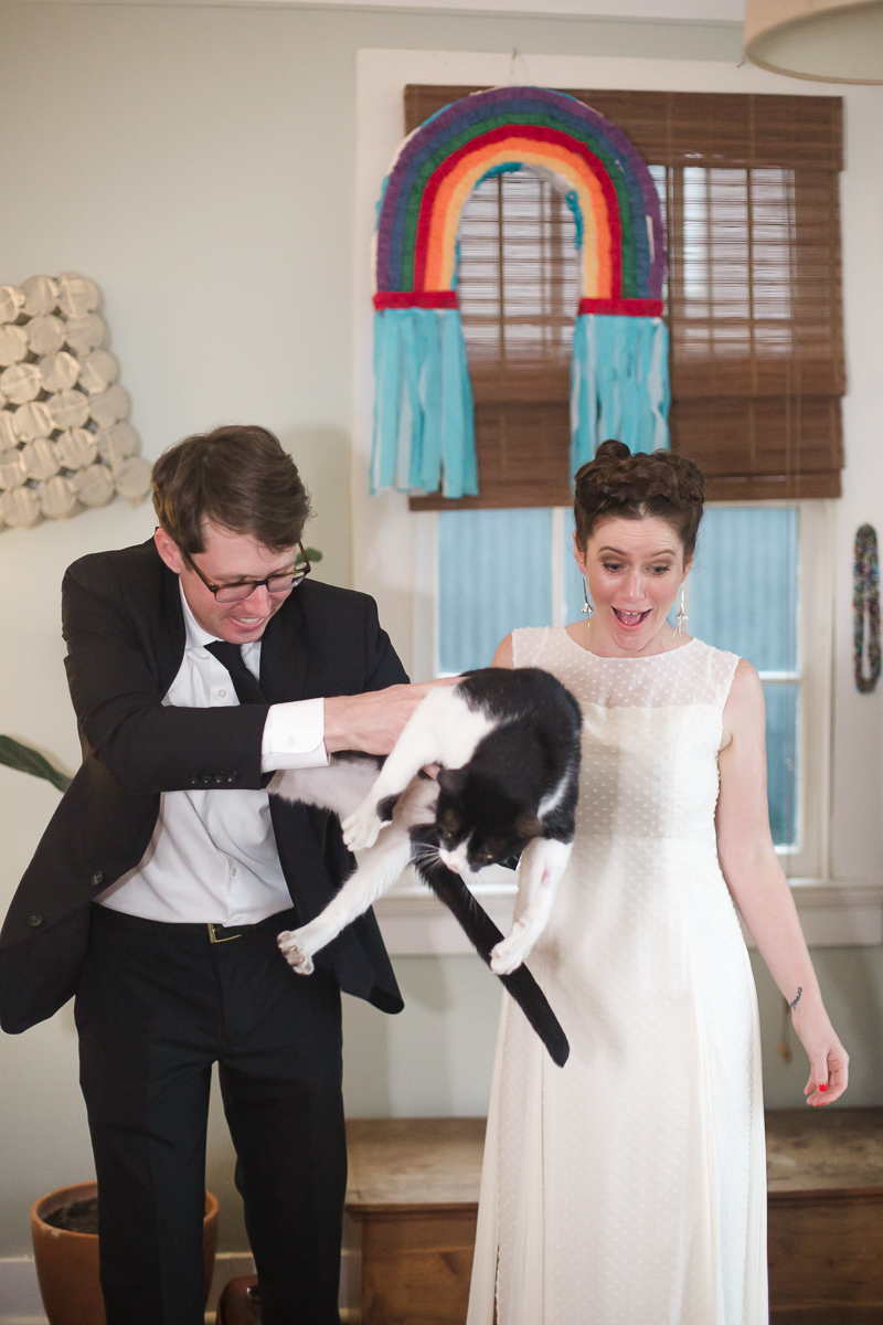 A wedding couple hold a wild cat.