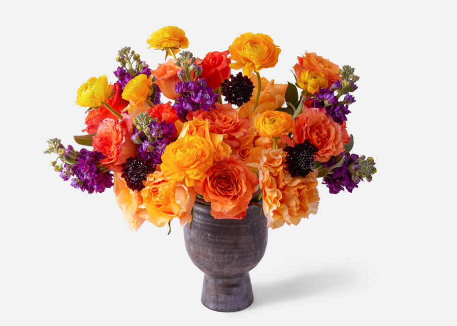 orange and purple flowers in a concrete vase