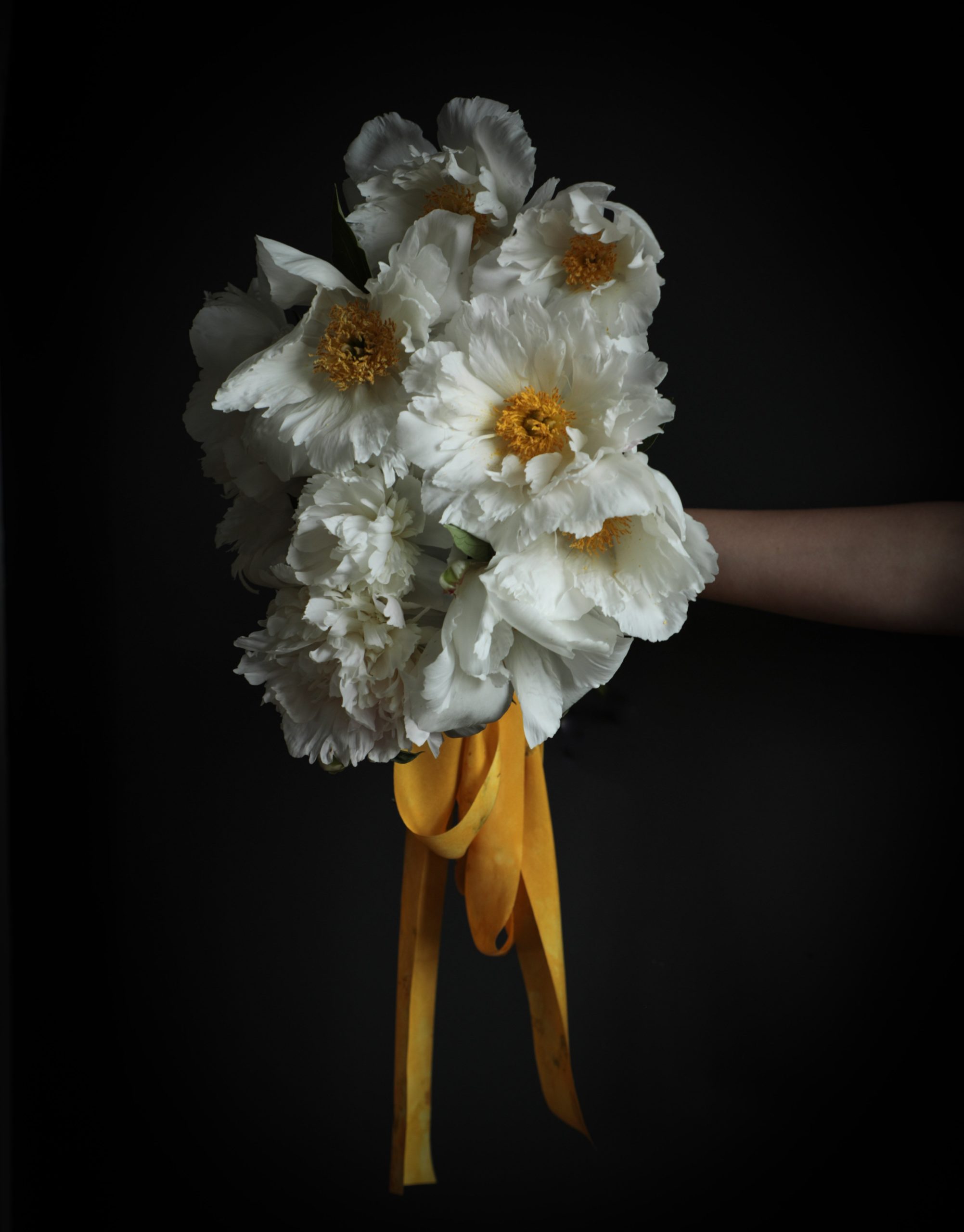 bouquet of white tree peonies with a marigold colored silk sibbon