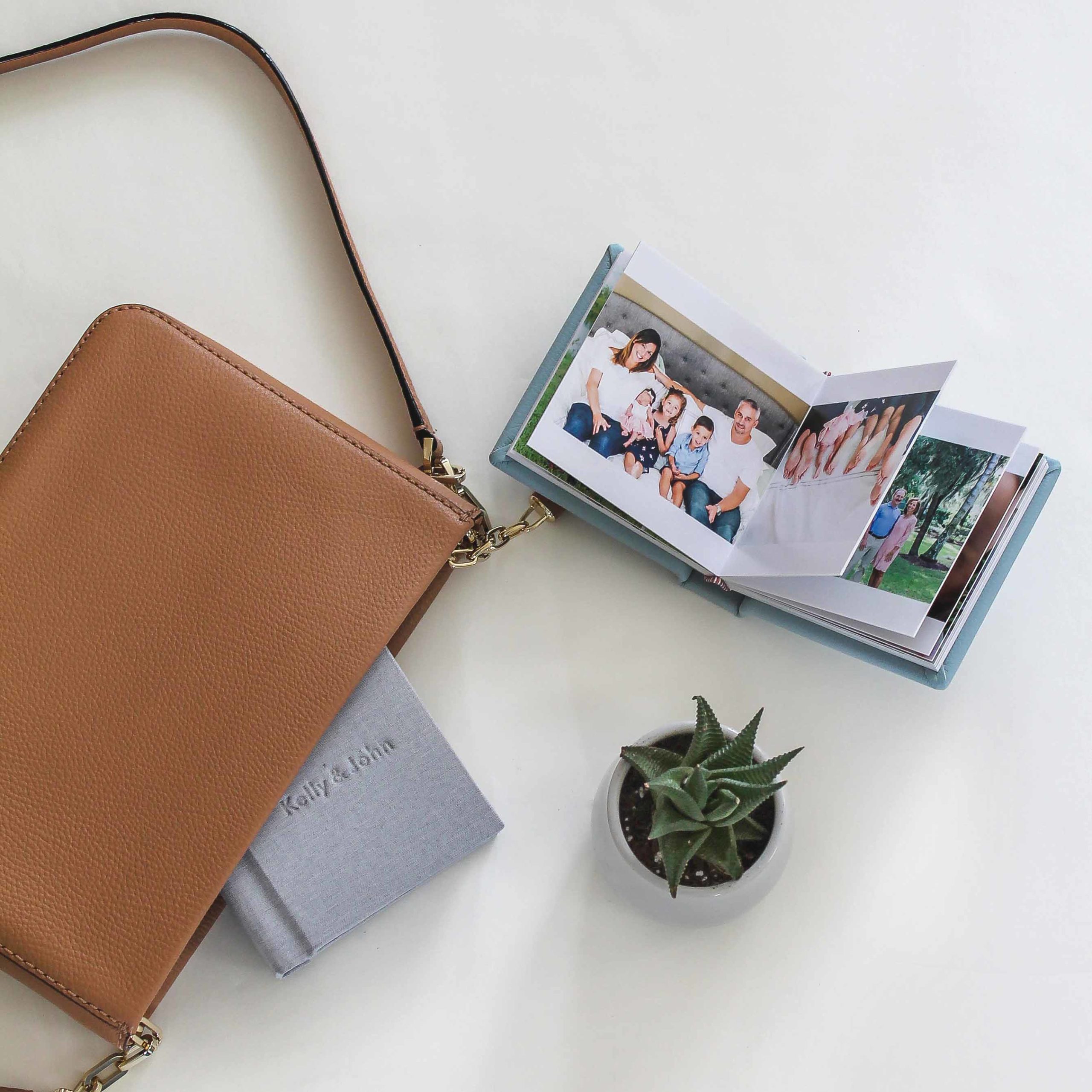 overhead shot of two Albums Remembered Little Hugs albums shown next to a leather purse and a small succulent