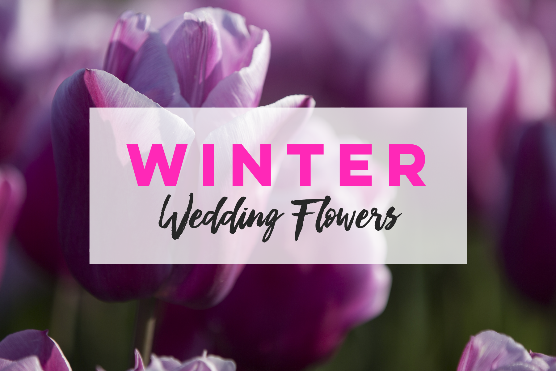 winter wedding flowers with tulip background