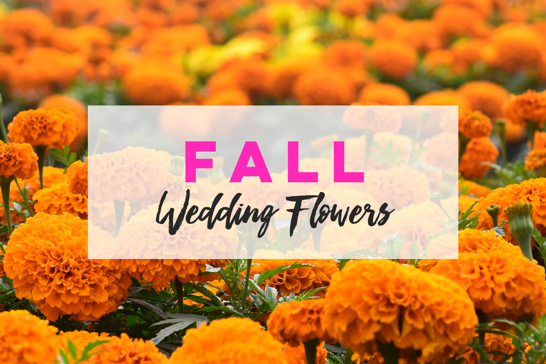 marigold fall wedding flowers