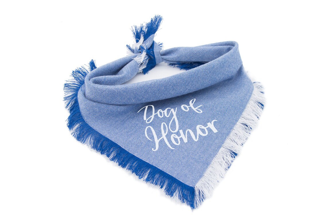 dog of honor blue scarf