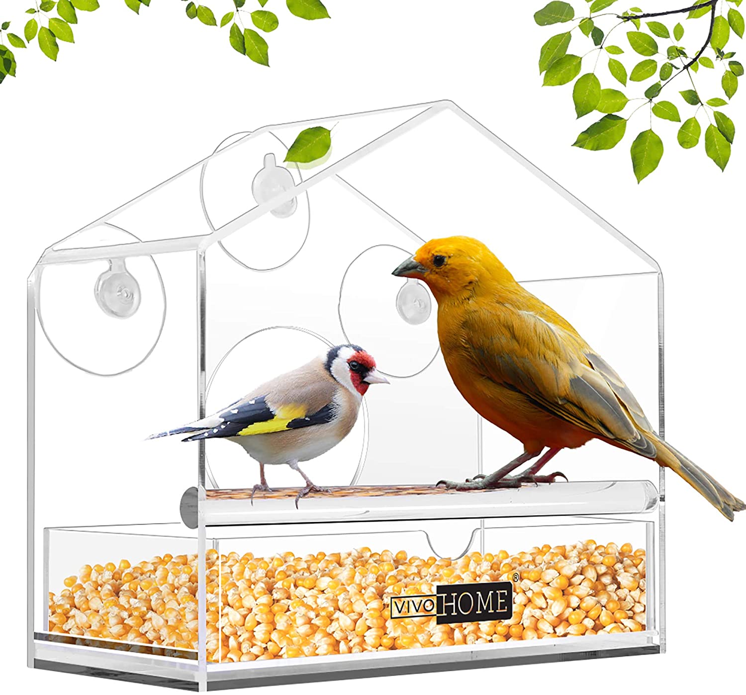 mangeoire à oiseaux de fenêtre